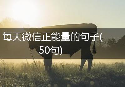 每天微信正能量的句子(50句)
