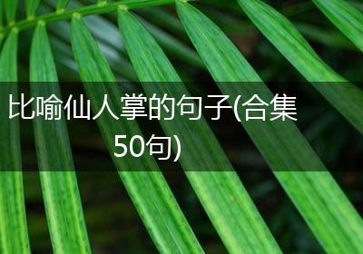 比喻仙人掌的句子(合集50句)