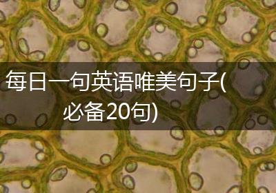 每日一句英语唯美句子(必备20句)