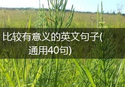 比较有意义的英文句子(通用40句)