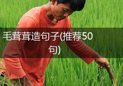 毛茸茸造句子(推荐50句)