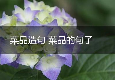 菜品造句 菜品的句子