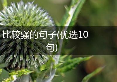 比较骚的句子(优选10句)