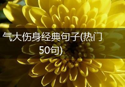 气大伤身经典句子(热门50句)