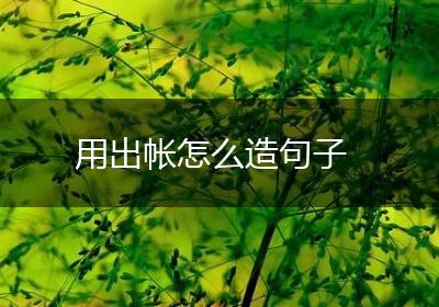 用出帐怎么造句子