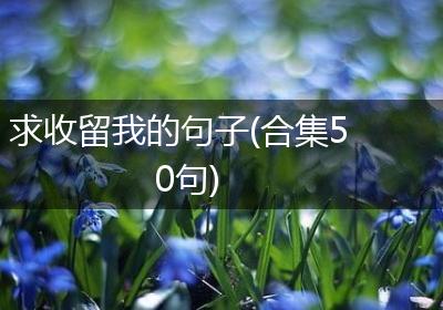 求收留我的句子(合集50句)