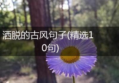 洒脱的古风句子(精选10句)