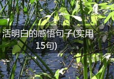 活明白的感悟句子(实用15句)