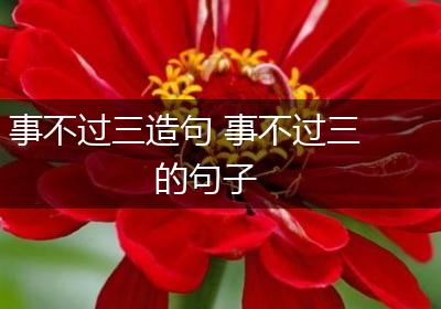 事不过三造句 事不过三的句子