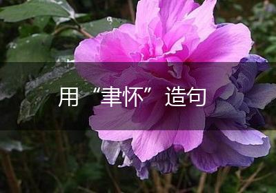 用“聿怀”造句