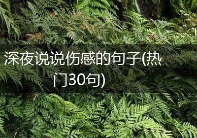 深夜说说伤感的句子(热门30句)
