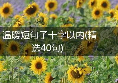 温暖短句子十字以内(精选40句)