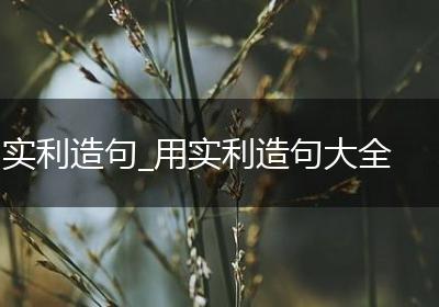 实利造句_用实利造句大全