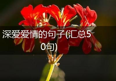 深爱爱情的句子(汇总50句)