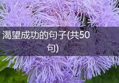 渴望成功的句子(共50句)