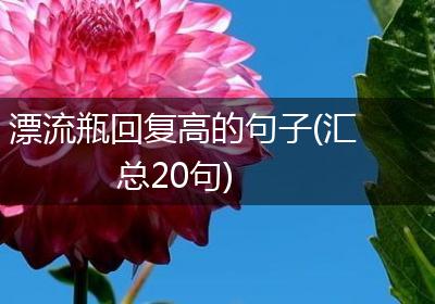 漂流瓶回复高的句子(汇总20句)