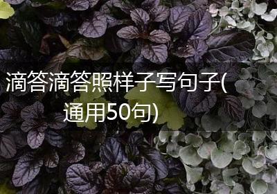 滴答滴答照样子写句子(通用50句)