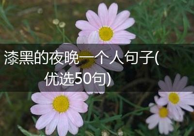 漆黑的夜晚一个人句子(优选50句)