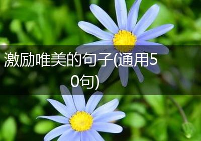 激励唯美的句子(通用50句)