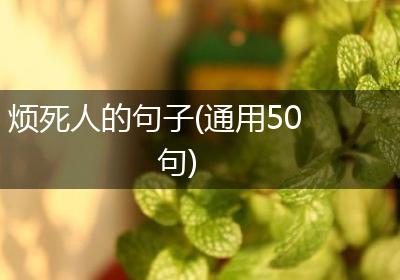 烦死人的句子(通用50句)