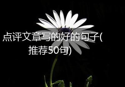点评文章写的好的句子(推荐50句)