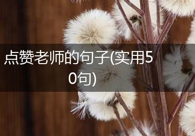 点赞老师的句子(实用50句)