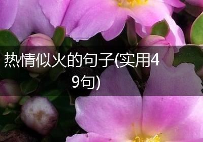 热情似火的句子(实用49句)