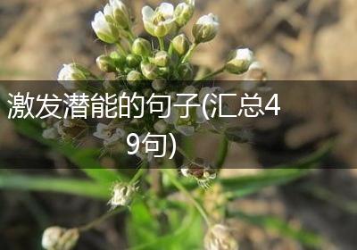 激发潜能的句子(汇总49句)