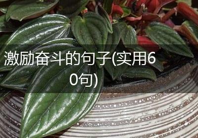 激励奋斗的句子(实用60句)