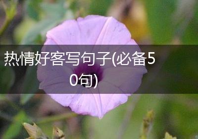 热情好客写句子(必备50句)
