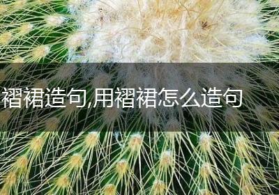 褶裙造句,用褶裙怎么造句