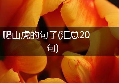 爬山虎的句子(汇总20句)