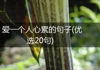 爱一个人心累的句子(优选20句)