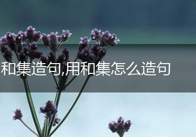 和集造句,用和集怎么造句