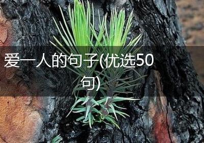 爱一人的句子(优选50句)