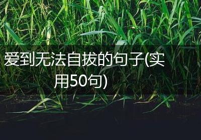 爱到无法自拔的句子(实用50句)