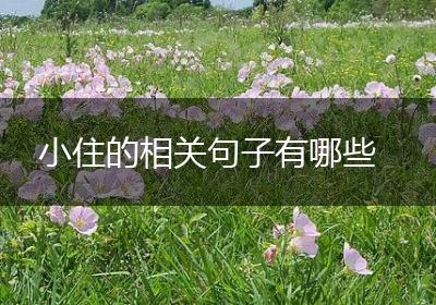 小住的相关句子有哪些
