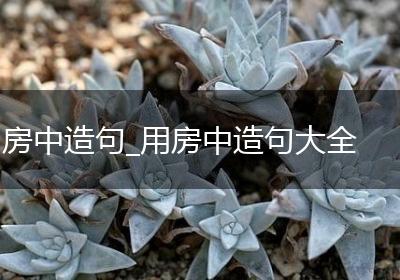 房中造句_用房中造句大全