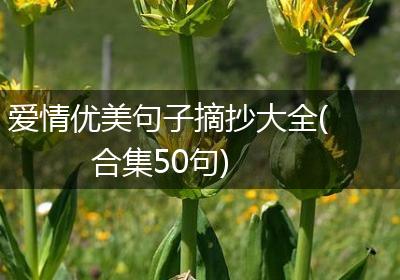 爱情优美句子摘抄大全(合集50句)