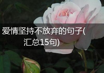 爱情坚持不放弃的句子(汇总15句)