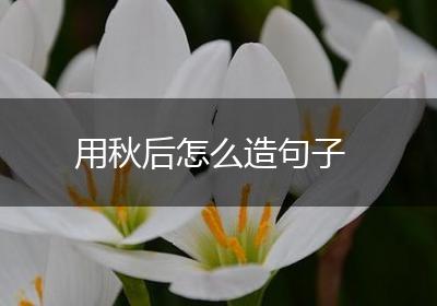 用秋后怎么造句子