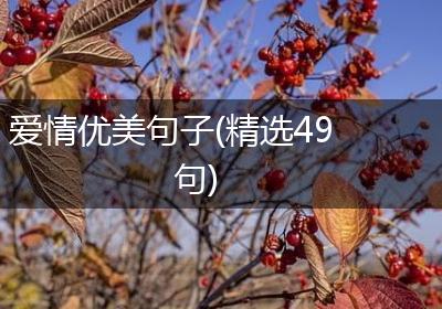 爱情优美句子(精选49句)
