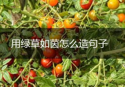 用绿草如茵怎么造句子