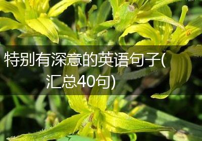 特别有深意的英语句子(汇总40句)