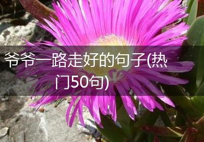 爷爷一路走好的句子(热门50句)