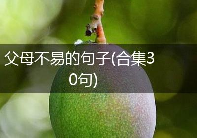 父母不易的句子(合集30句)