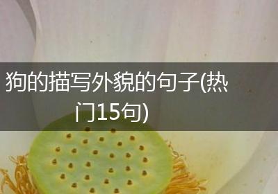 狗的描写外貌的句子(热门15句)
