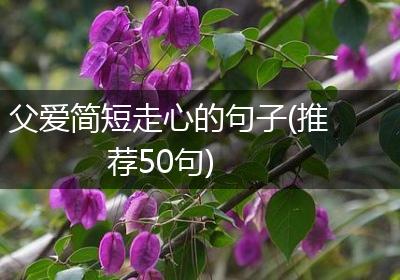 父爱简短走心的句子(推荐50句)