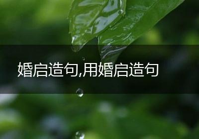 婚启造句,用婚启造句
