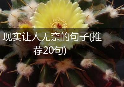 现实让人无奈的句子(推荐20句)